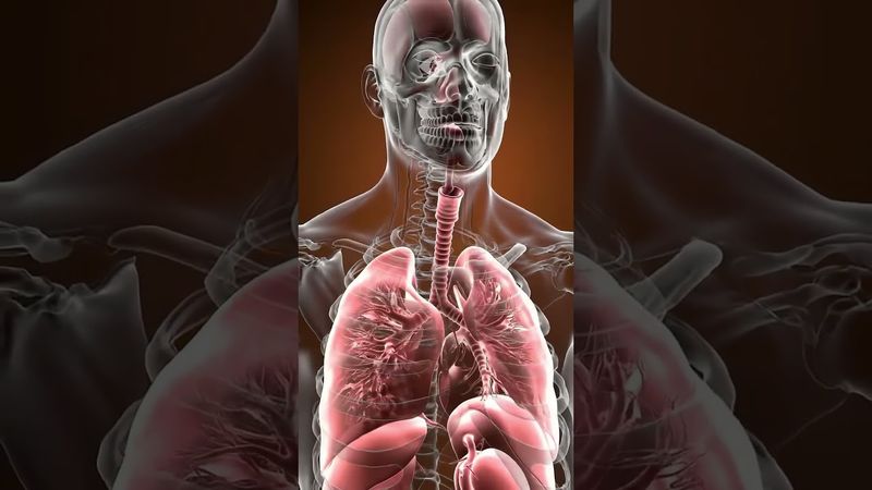 Это может спасти тебе жизнь. Что делать при пневмотораксе