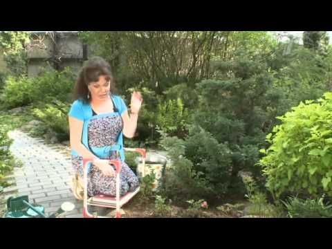 Фазенда. Новый костюм для фасада