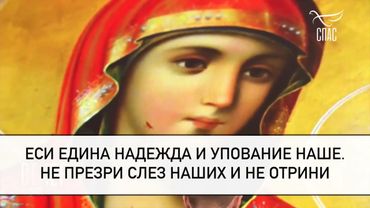 Молитва ко Пресвятой Богородице о воинах, на поле брани сущих! #молитваВСЛУХ #вечерняяМОЛИТВА
