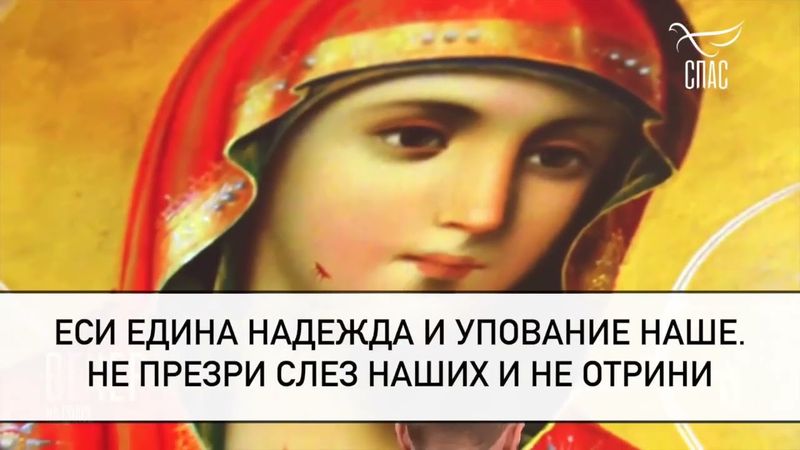 Молитва ко Пресвятой Богородице о воинах, на поле брани сущих! #молитваВСЛУХ #вечерняяМОЛИТВА