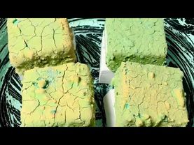 Pasted & Plain Jane Freshies