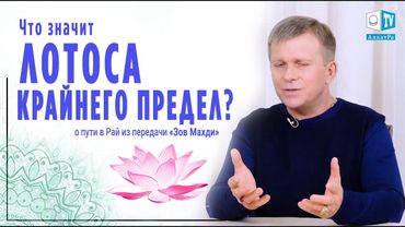 Лотоса крайнего предел