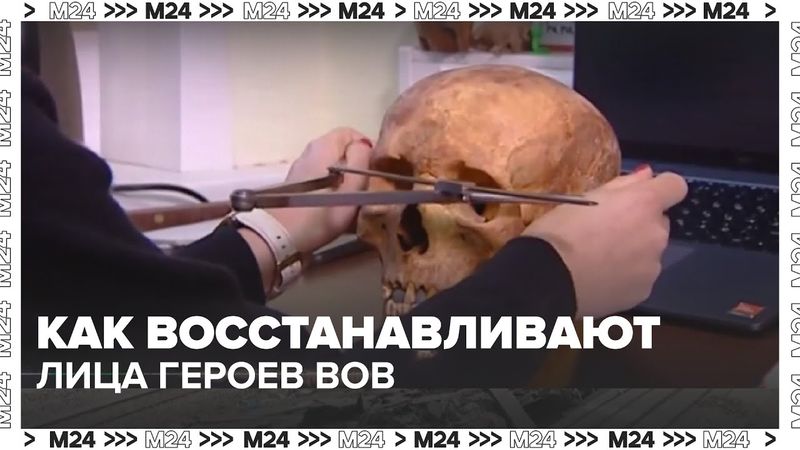 Как восстанавливают лица героев Великой Отечественной войны — работа антропологов | Москва 24