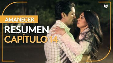 Amanecer | Capítulo 14 - Resumen