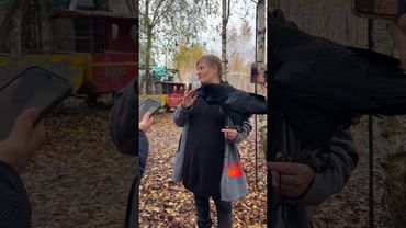 Говорящий ворон на зоостудии «Ковчег» в Кашире