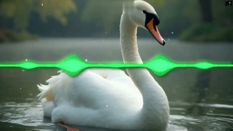 DJ Appolon - А на чистых прудах