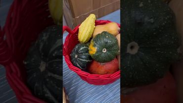 ДАРЫ ОСЕНИ.❤️🌺❤️