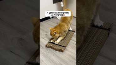 Артикул на резак на Яндекс Маркет: YM10130353