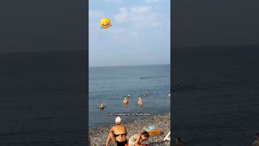 🤣Когда иные аргументы уже не действуют😄🌊Стая дельфинов это вам не шутки🐬😉