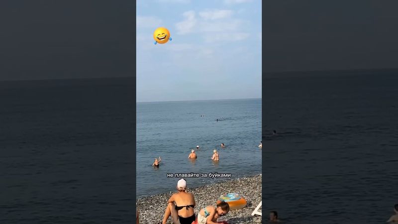 🤣Когда иные аргументы уже не действуют😄🌊Стая дельфинов это вам не шутки🐬😉