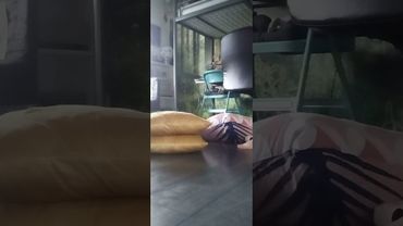 seeing how high i can jump Quadrobics with ivy that therian