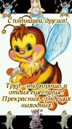 #С Добрым Утром Друзья!С Пятницей! Отличного Настроения!💃💃💃💃💃