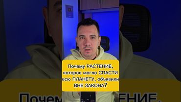 Почему растение, которое могло спасти всю планету, объявили вне закона?
