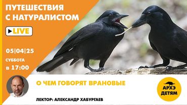 Занятие "О чем говорят врановые" рубрики "Путешествия с натуралистом" с Александром Хабургаевым