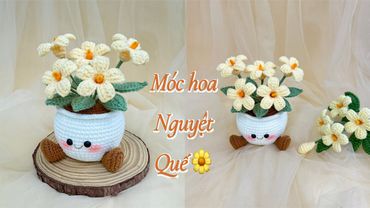 Móc Hoa Nguyệt Quế
