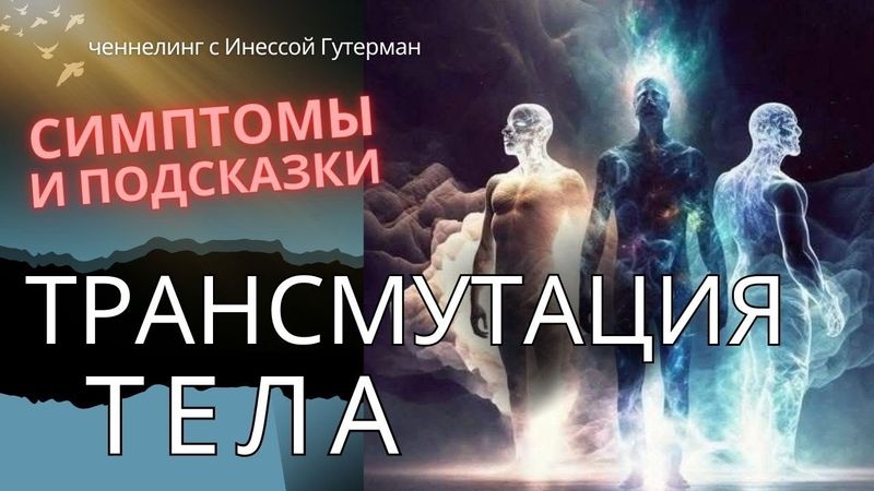 Переход с углеродной основы тела человека на кремниевую начался! Советы как справиться с симптомами