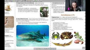 Реанимация. День 20 (часть 1)