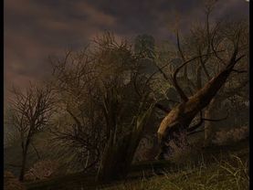 Сердце вечности