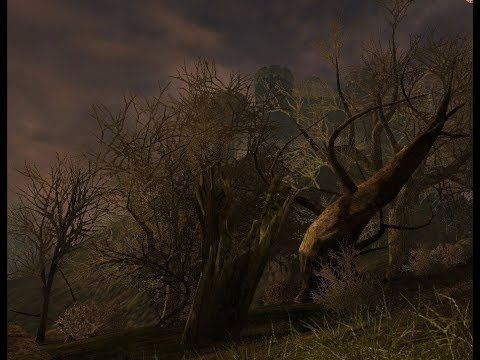 Сердце вечности