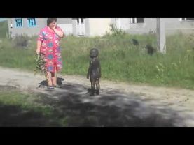 Дети купались в грязи