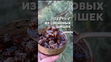 Молодые сосновые шишки это подарок от сосны!Готовим варенье из шишек!#рецепт #сосна # варенье #шишки