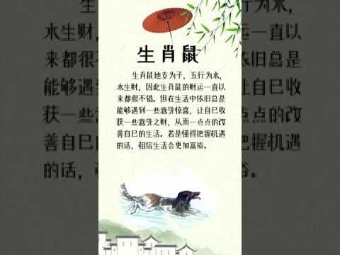 靠偏財發家致富 #生肖生肖 #生肖 #十二生肖十二生肖 #傳統文化