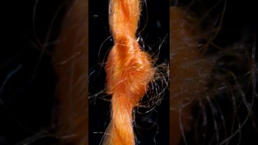 Thread Knot in Macro