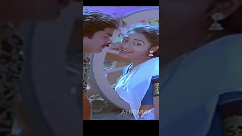 Mayiladum Thoppil - Video Song | மயிலாடும் தோப்பில் | Chinna Pasanga Naanga | Ilaiyaraaja | Ayngaran