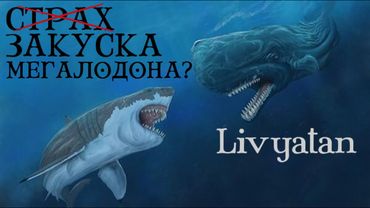 ЛЕВИАФАН МЕЛВИЛЛА: ИСТИННЫЙ КИТ-УБИЙЦА! ГЛАВНЫЙ ВРАГ МЕГАЛОДОНА ИЛИ ВСЕГО ЛИШЬ ЕГО ЕДА?