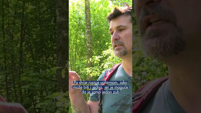 🐍 Znate li što trebate učiniti ako u prirodi naletite na zmiju?