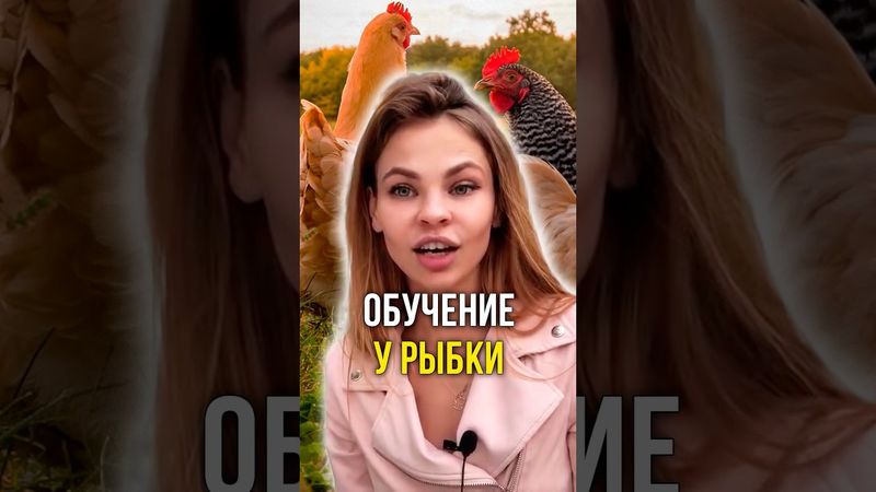 Обучение у рыбки 🐟