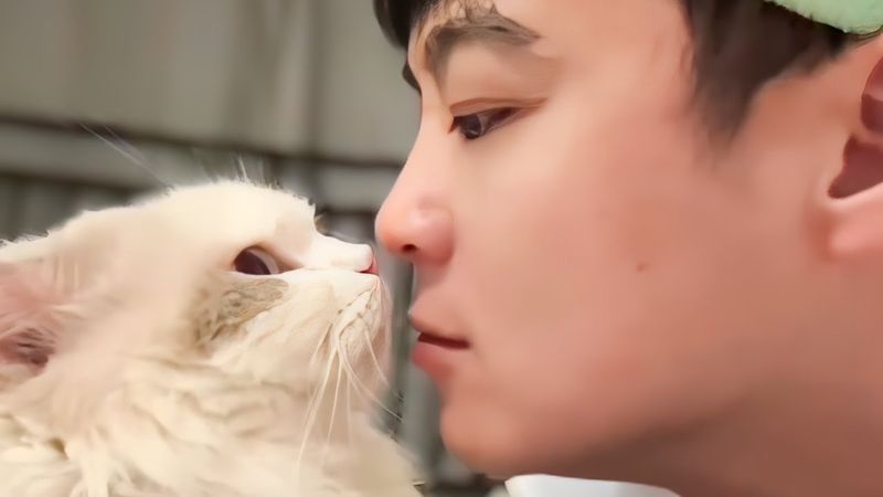 UNUSUAL MEMES COMPILATION V313