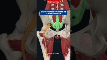 Вот почему  болит  поясница