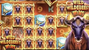 Wild wildebeest Wins ВЫДАЛ КРУПНЫЙ ЗАНОС КАЗИНО ОНЛАЙН СТРИМ #shorts #стримказиноонлайн #стримказино