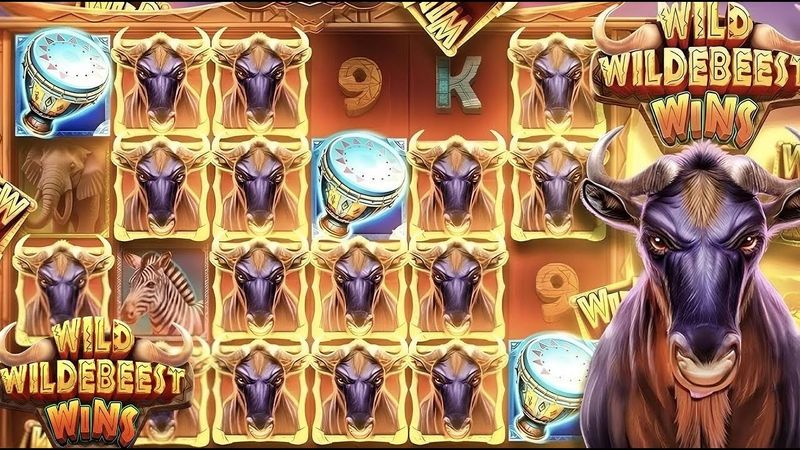 Wild wildebeest Wins ВЫДАЛ КРУПНЫЙ ЗАНОС КАЗИНО ОНЛАЙН СТРИМ #shorts #стримказиноонлайн #стримказино