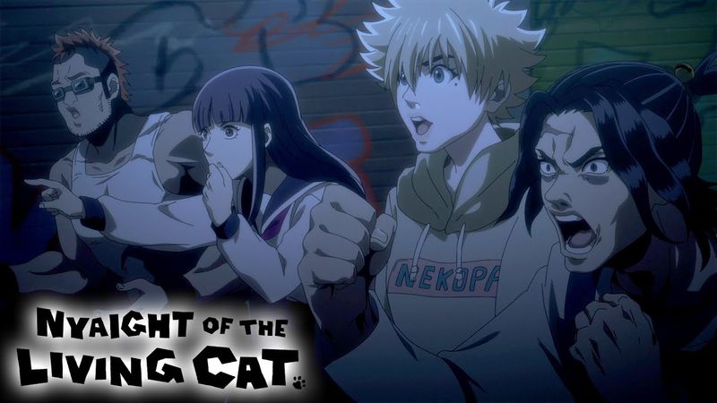 Now Is Not The Time To Take Cute Cat Pics | Nyaight of the Living Cat