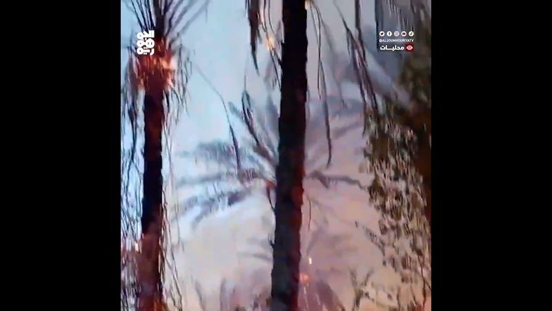 حريق هائل يلتهم 150 شجرة نخيل في حضرموت