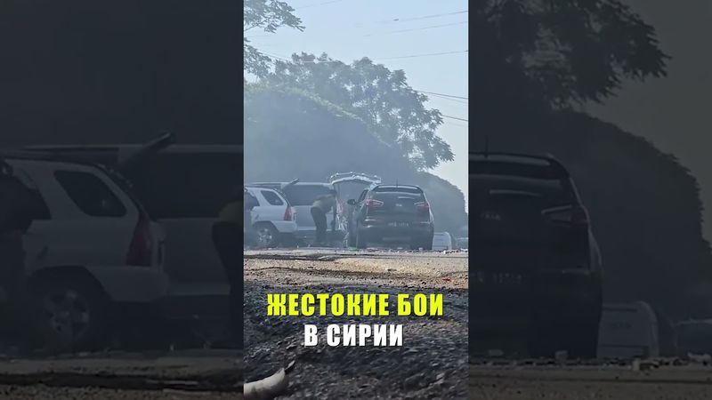 В Эс-Сувейде вспыхнули новые столкновения