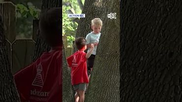 Action 13 gets tree branches trimmed after power line fires in Pasadena