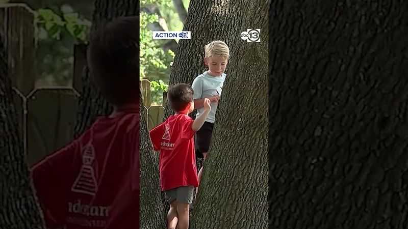 Action 13 gets tree branches trimmed after power line fires in Pasadena