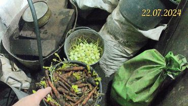 Домашний вермикомпостер Лодырь. Чем кормить червей. Заселил новых червей. Кормлю осетров червями.