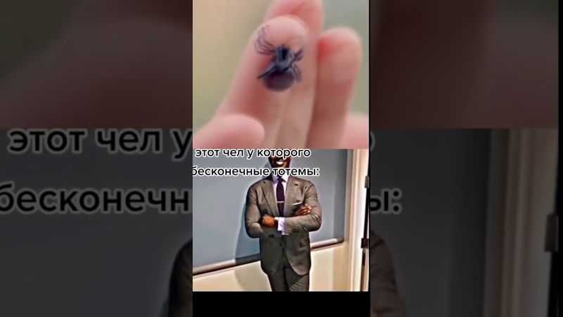 #chickengunmemes #geometrydash #memes #roblox #chickengun