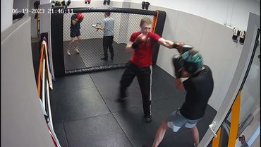 МишанинЛисица