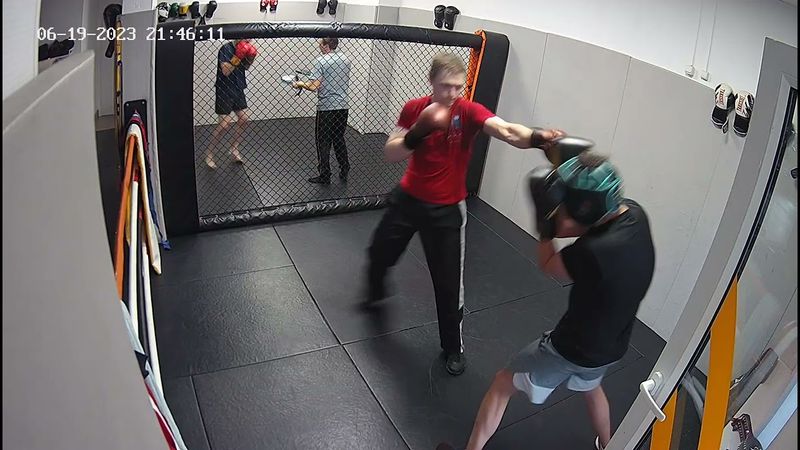 МишанинЛисица