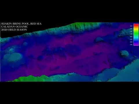 Fly Through: Suakin Deep