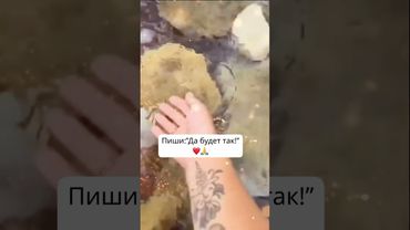 Всегда будут #деньги  #дабудеттак #изобилиевселенной  #денежныймагнит  #shorts