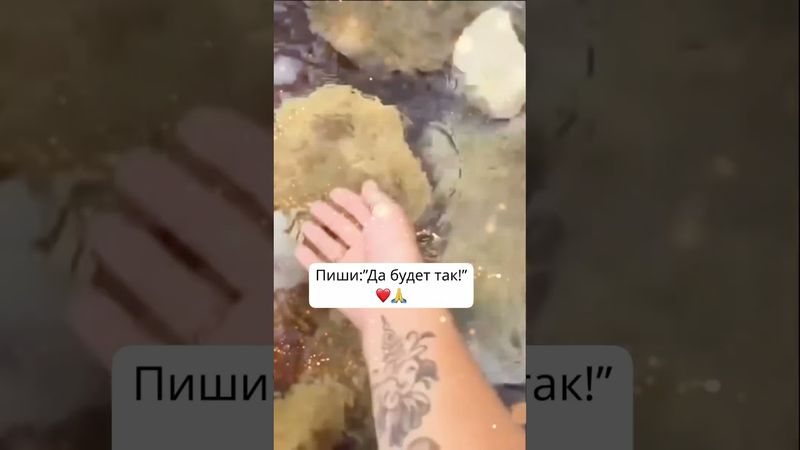 Всегда будут #деньги  #дабудеттак #изобилиевселенной  #денежныймагнит  #shorts