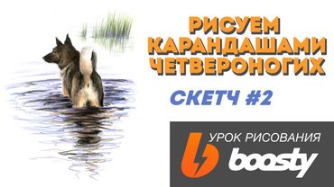 Рисуем карандашами четвероногих / Скетч 2 / Урок для Boosty
