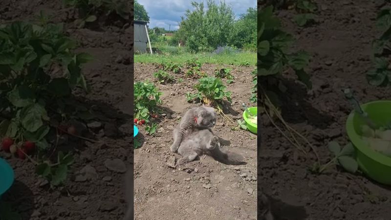 8 сентября 2025 г.