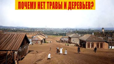 Почему в Старых Деревнях не было деревьев и травы? Секрет Раскрыт